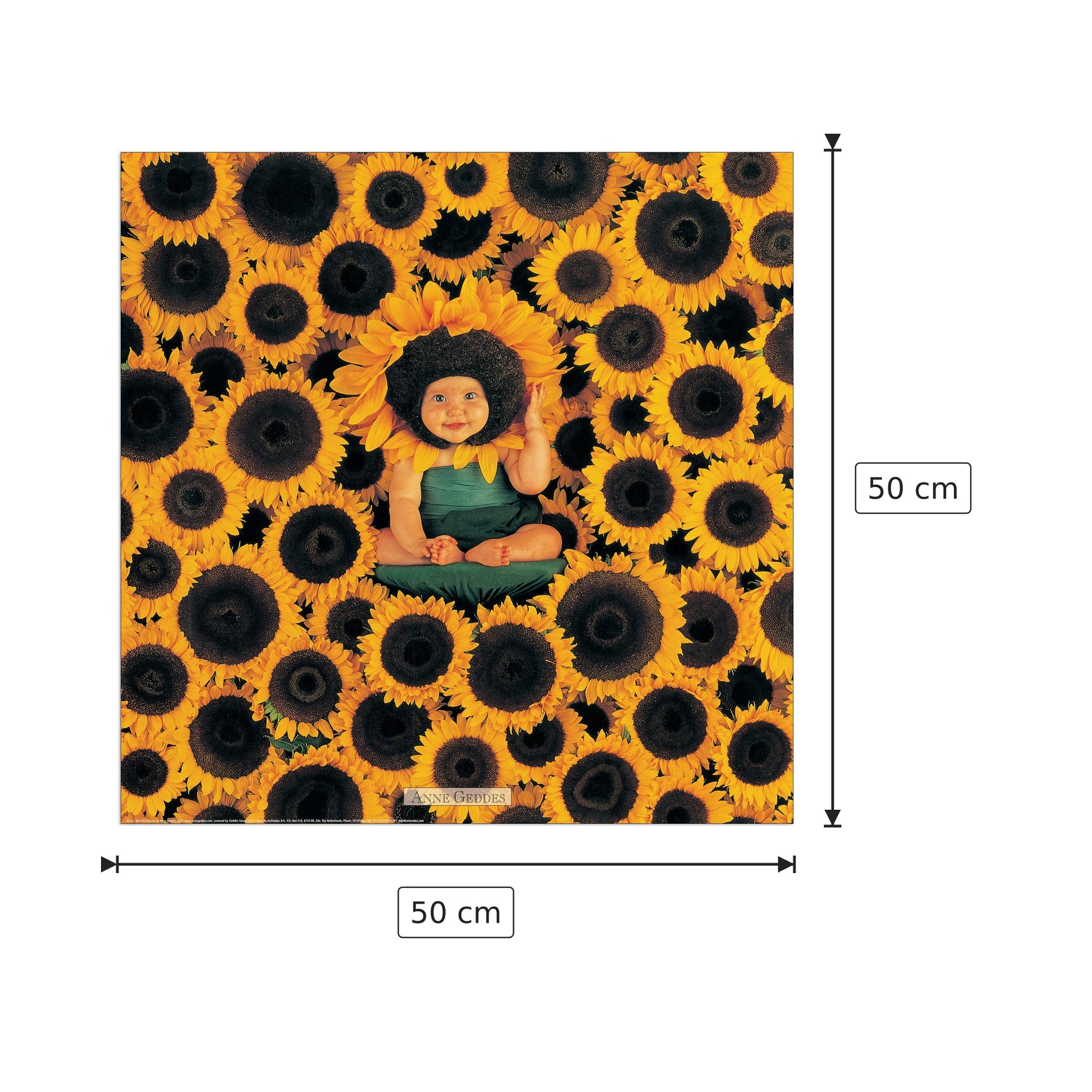Senza titolo - GEDDES - cm 50x50 - Pannello in MDF