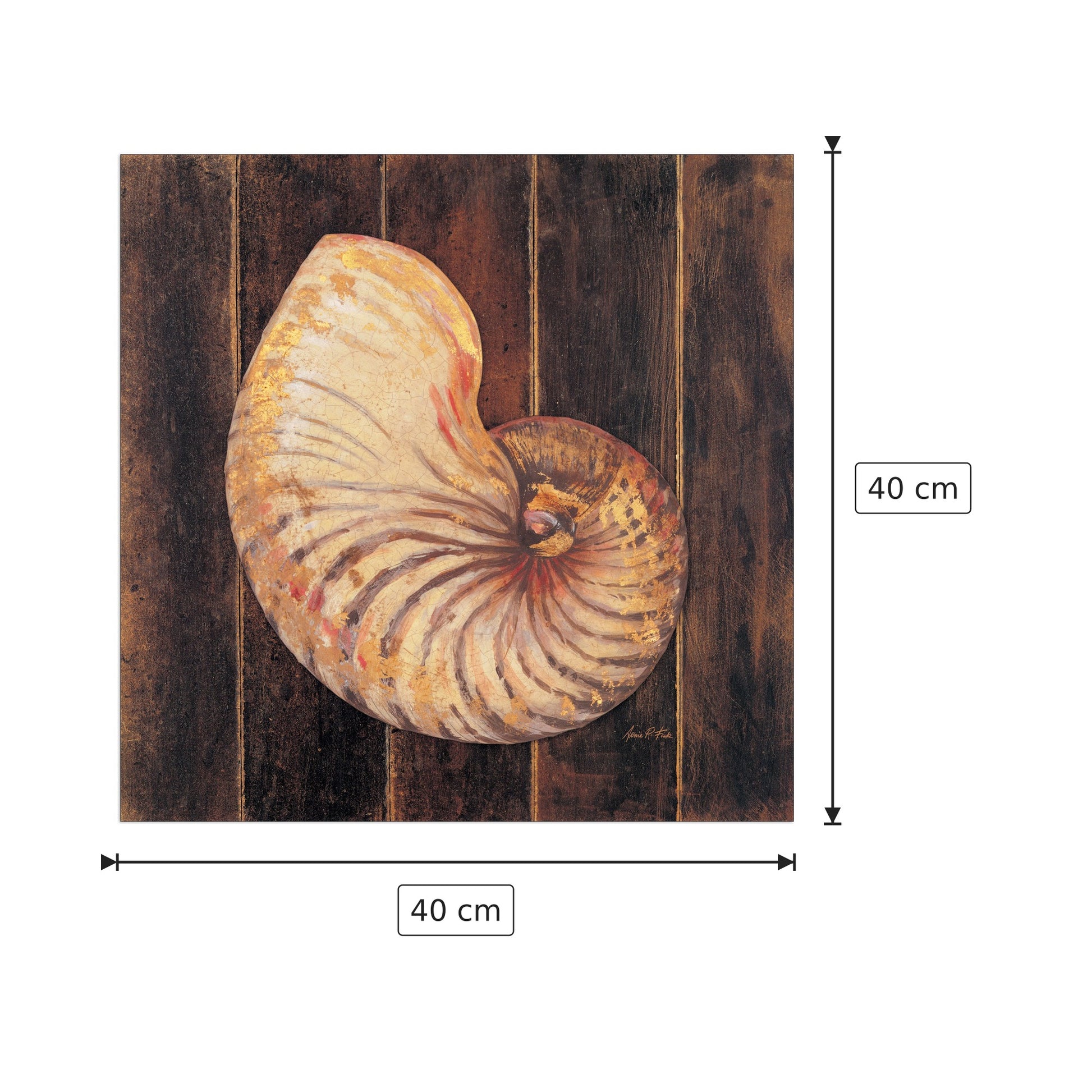 Nautilo marino - FISK - cm 40x40 - Pannello in MDF