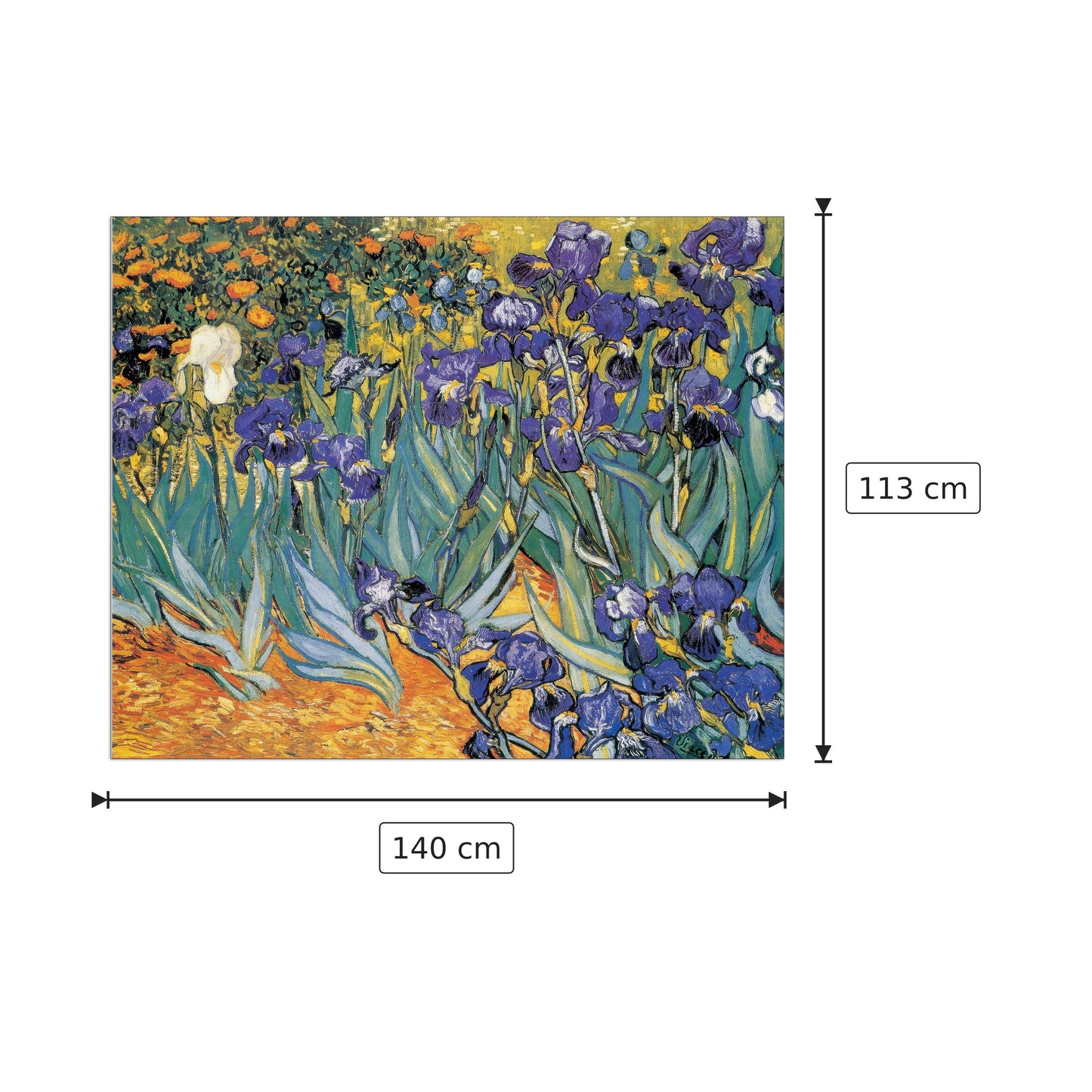 Iris - VAN GOGH - cm 140x113 - Pannello in MDF