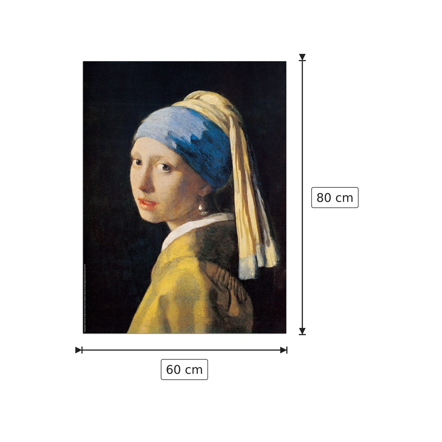 Ragazza con l'orecchino di perla - VERMEER - cm 60x80 - Pannello in MDF