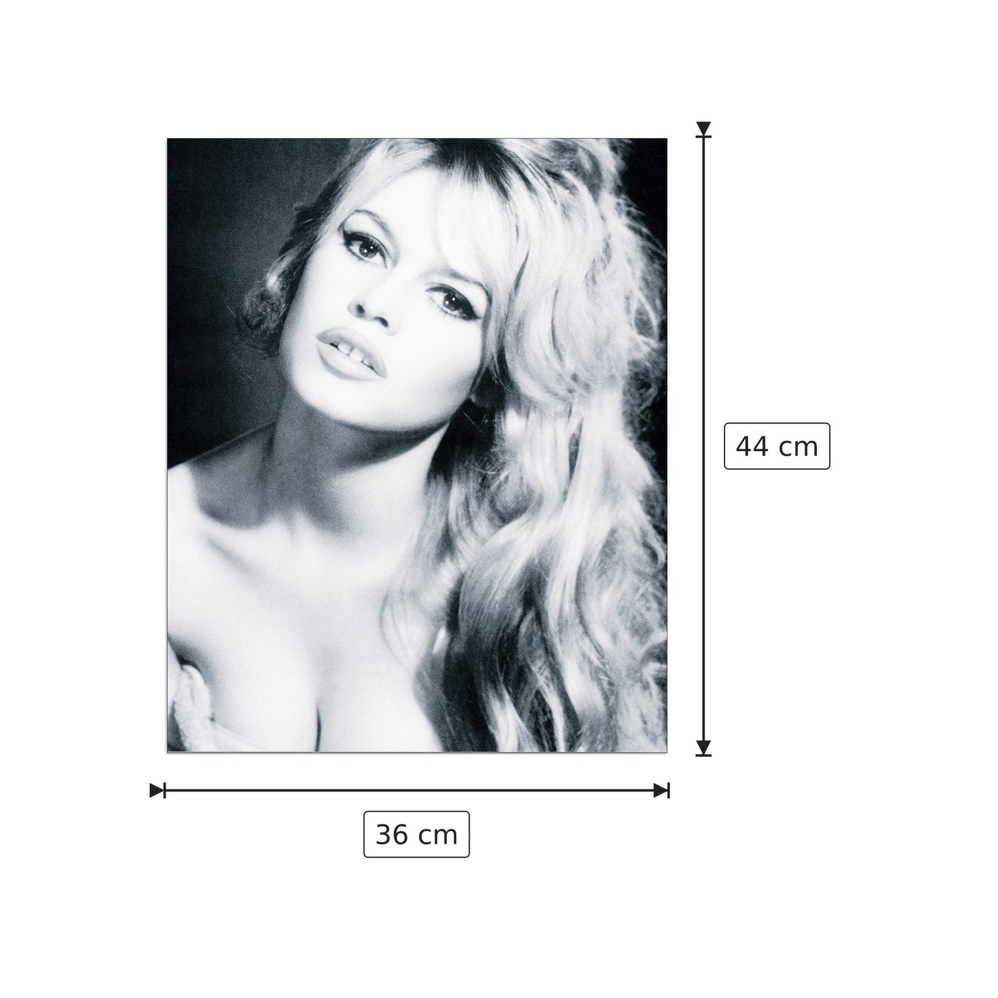Brigitte Bardot - BARDOT - cm 36x44 - Pannello in MDF