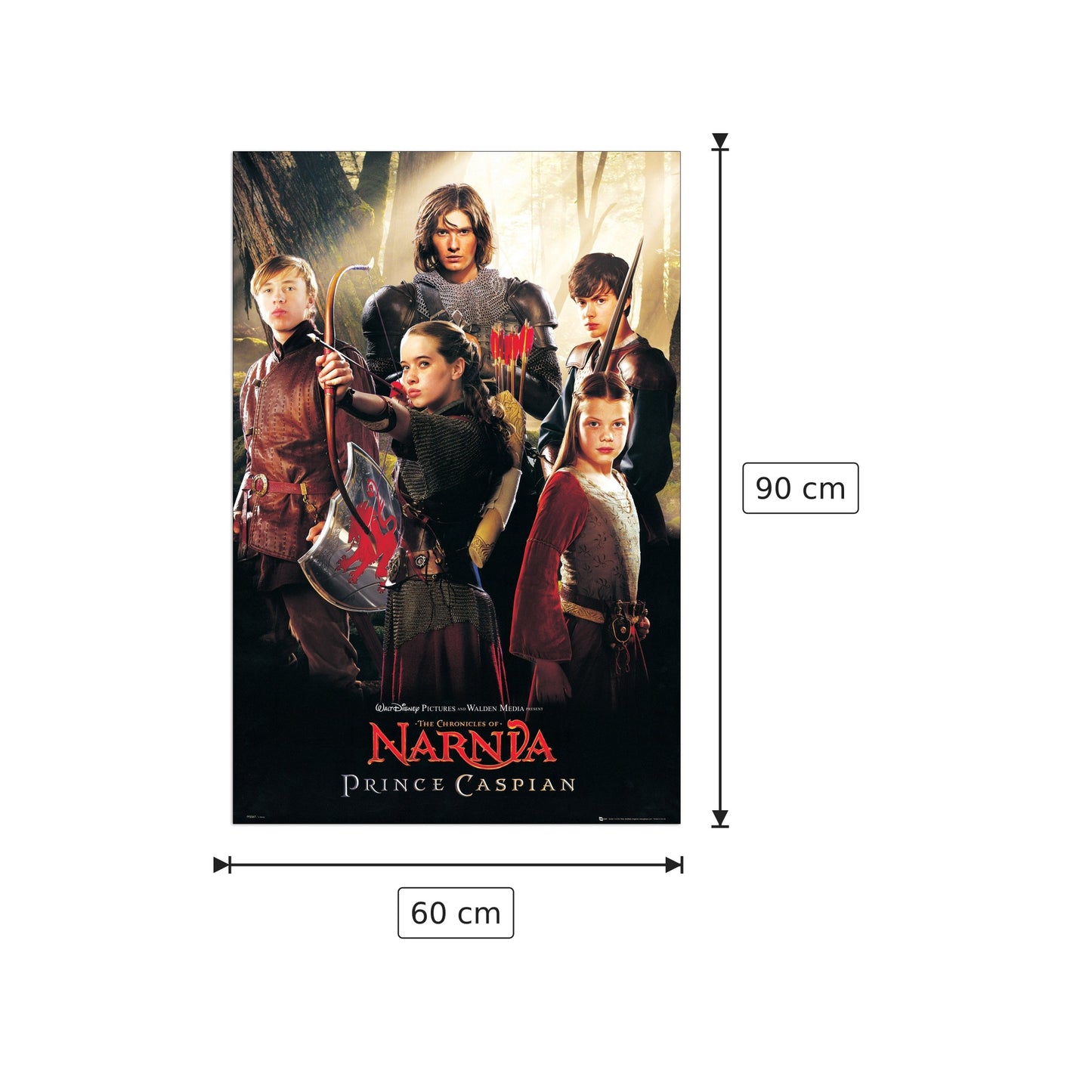 Le cronache di Narnia: il principe Caspian - NULL - cm 60x90 - Pannello in MDF