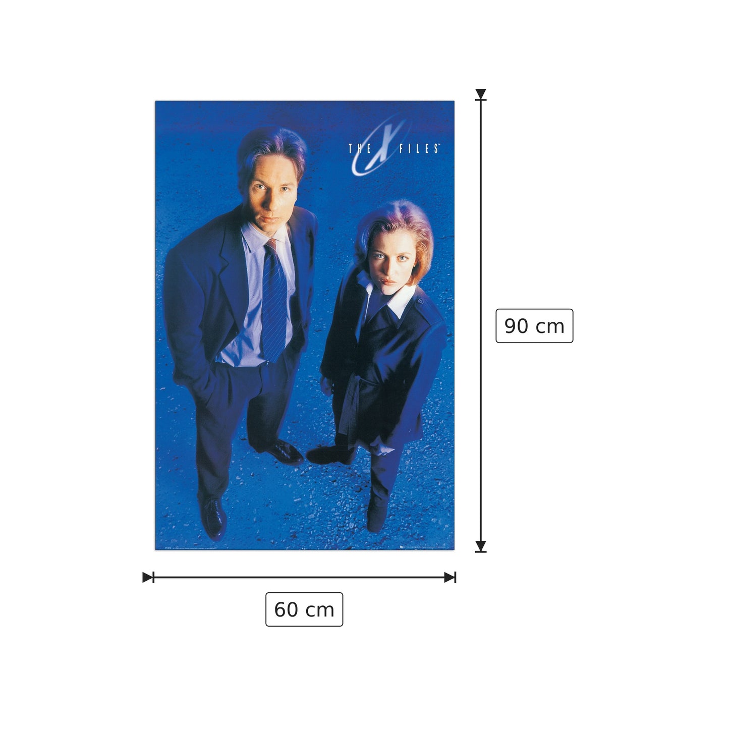 X-Files - NULL - cm 60x90 - Pannello in MDF