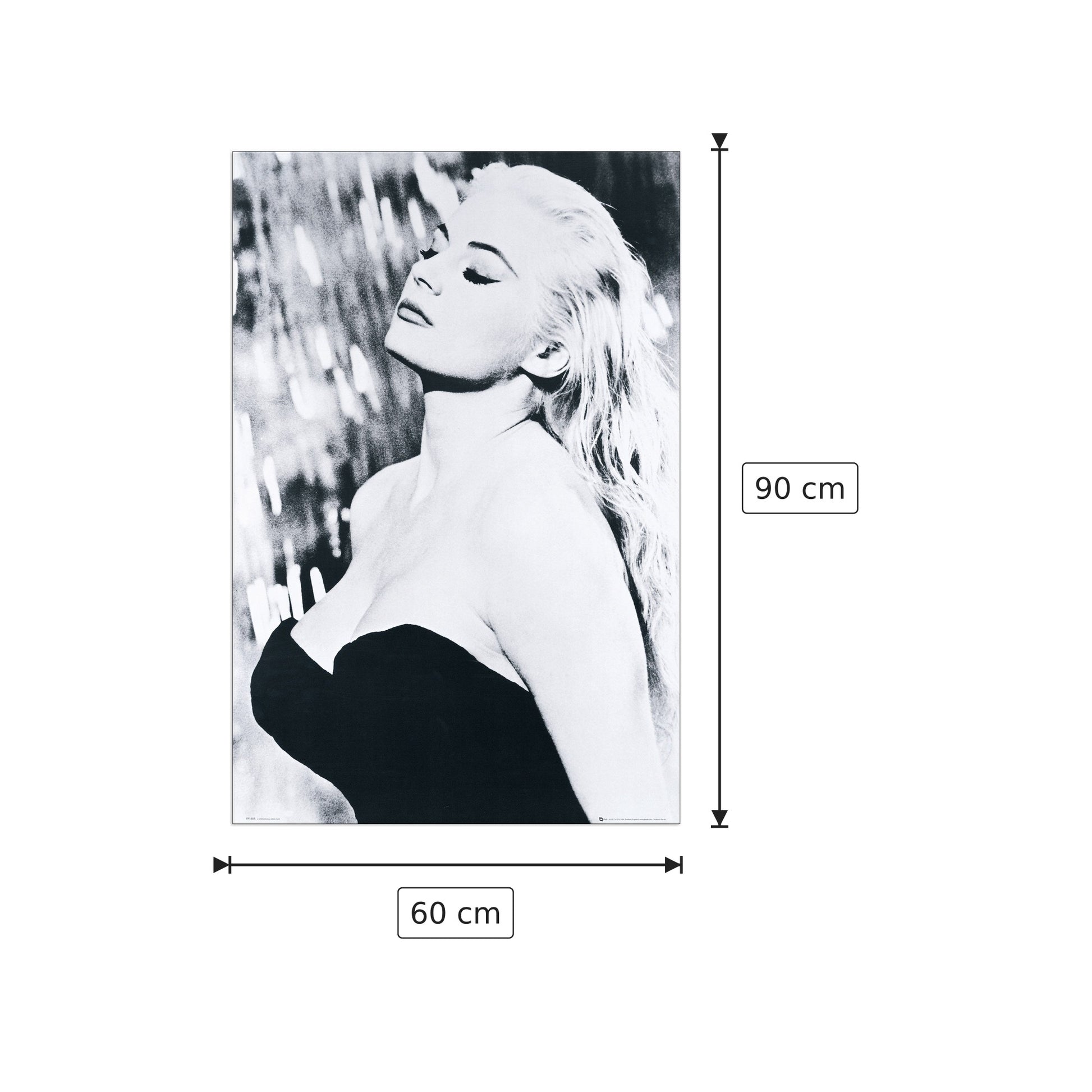 Anita Ekberg - EKBERG - cm 60x90 - Pannello in MDF