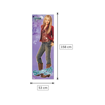 Hannah Montana - DISNEY - cm 53x158 - Pannello in MDF