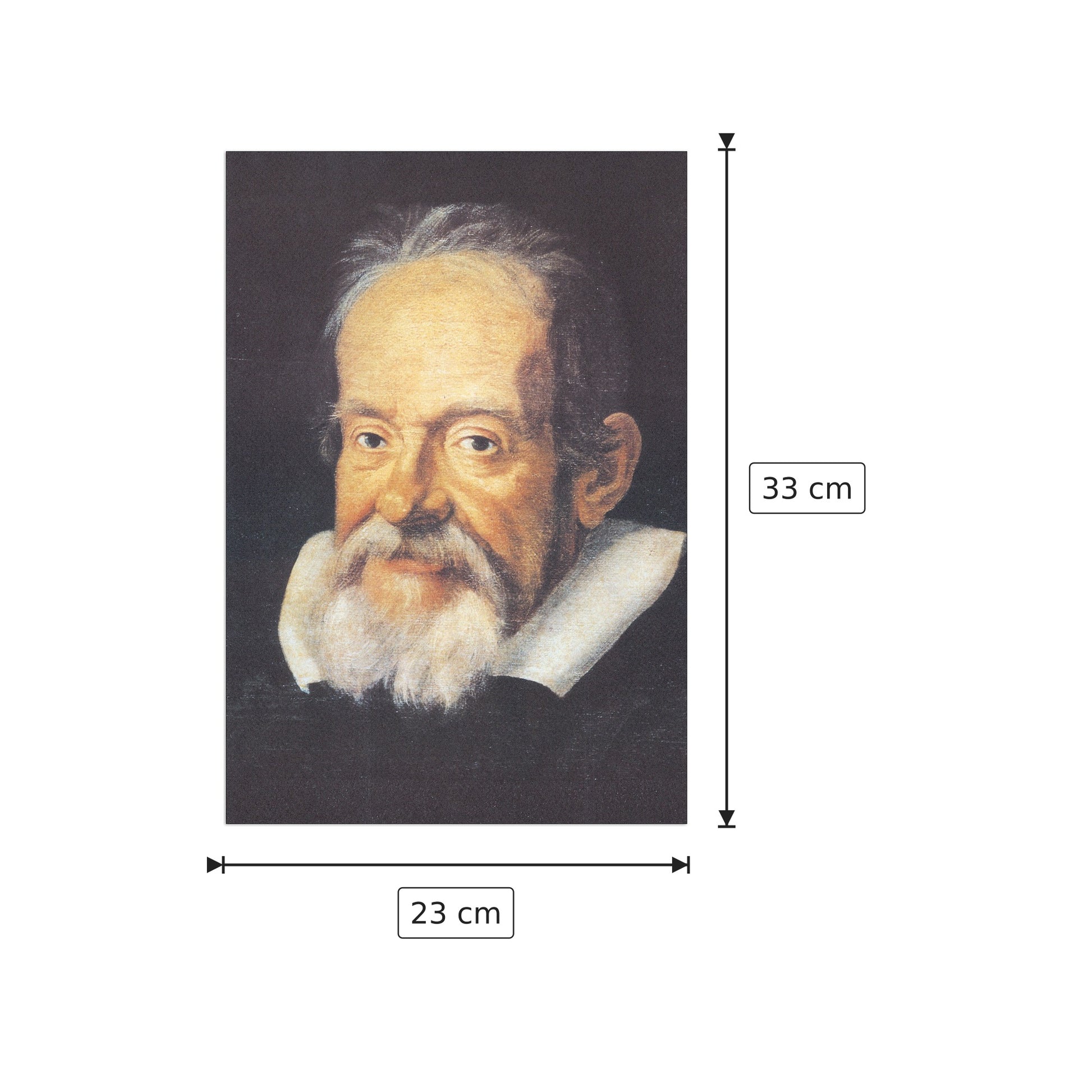 Galileo Galilei - NULL - cm 23x33 - Pannello in MDF