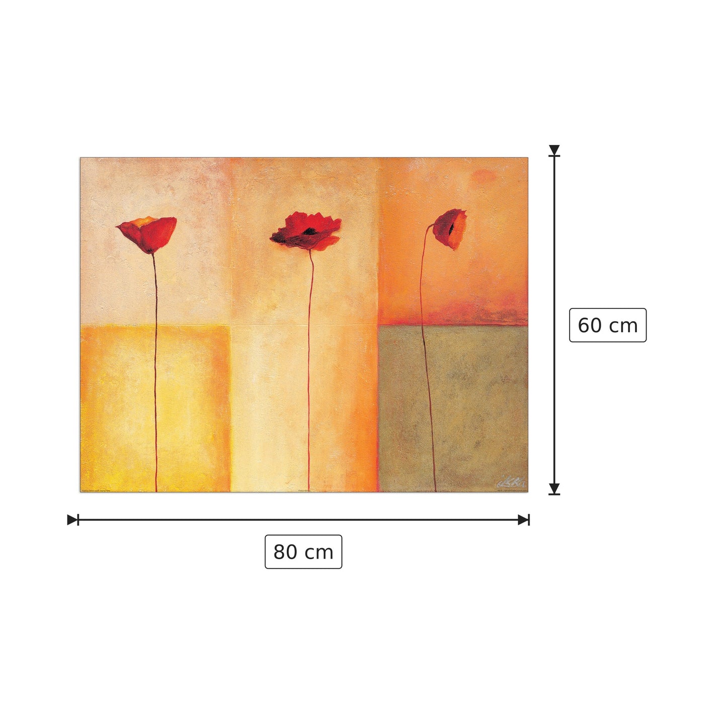 Tre tipi di papaveri II - HEINEMANN - cm 80x60 - Pannello in MDF