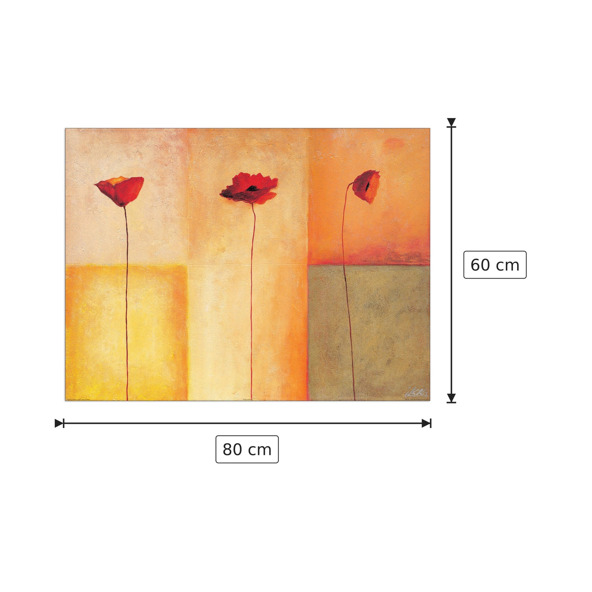 Tre tipi di papaveri II - HEINEMANN - cm 80x60 - Pannello in MDF
