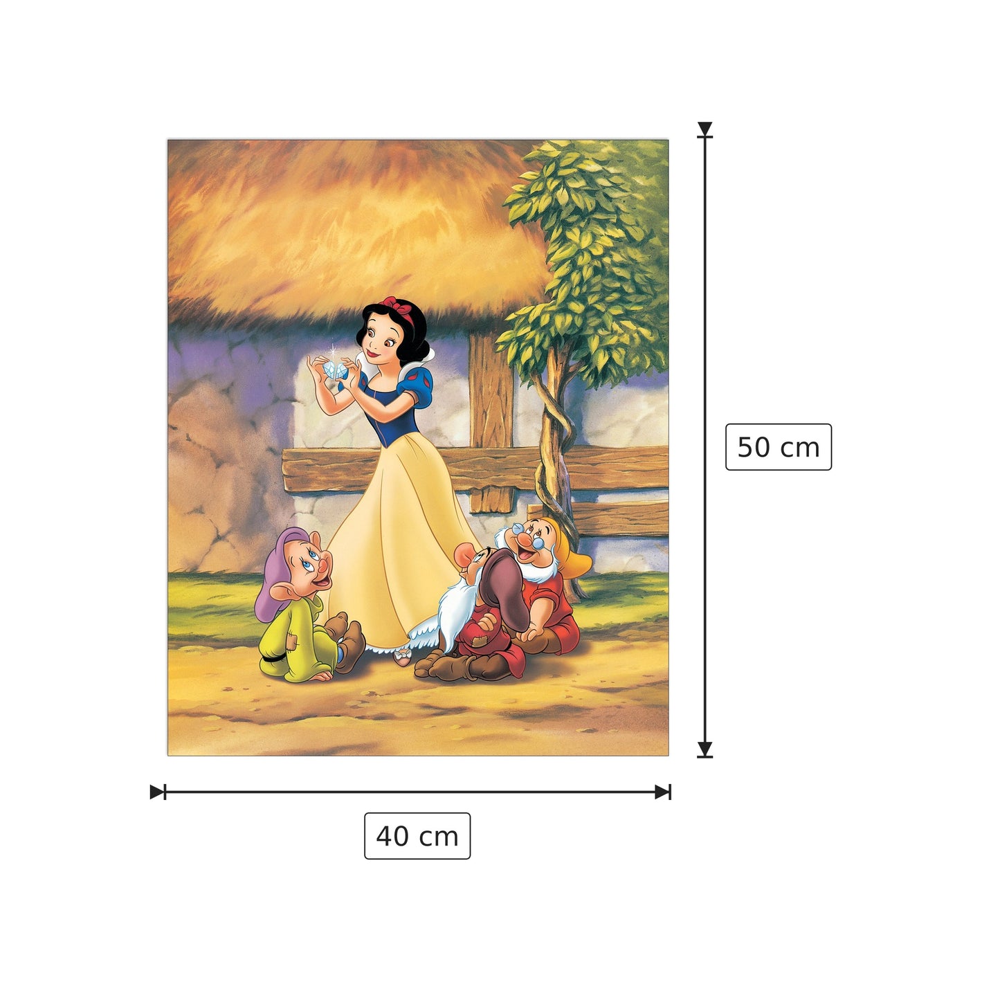 Biancaneve - DISNEY - cm 40x50 - Pannello in MDF