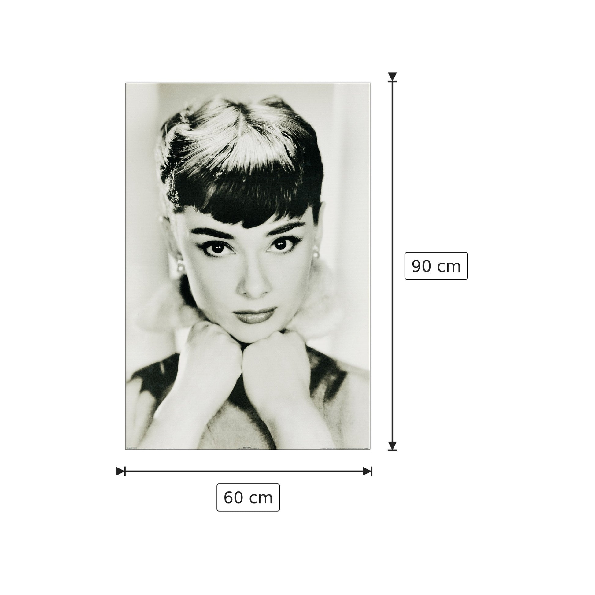 Audrey Hepburn - cm 60x90 - Pannello in MDF