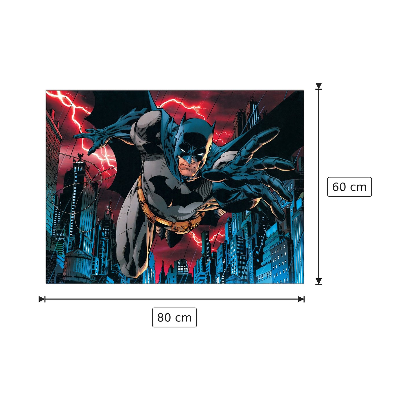 Batman Forever - DC COMICS - cm 80x60 - Pannello in MDF