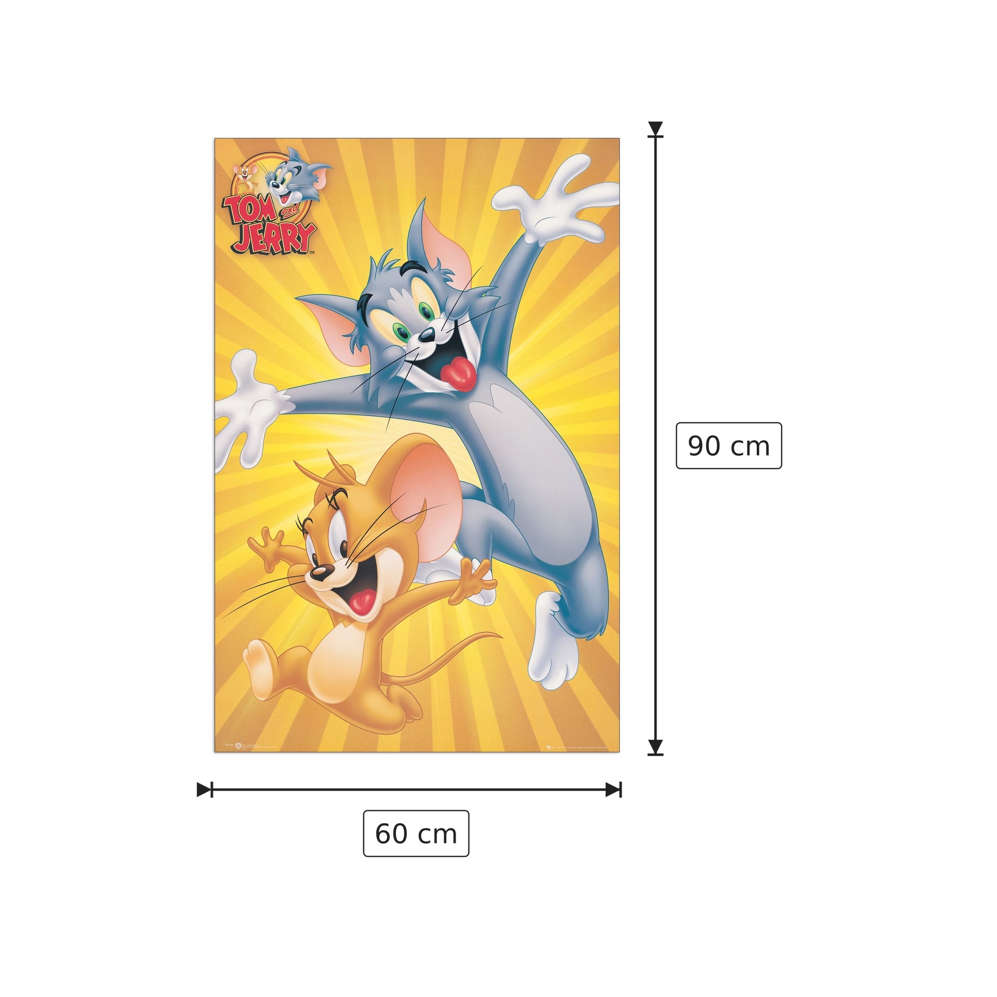 Tom e Jerry - LOONEY TUNES - cm 60x90 - Pannello in MDF