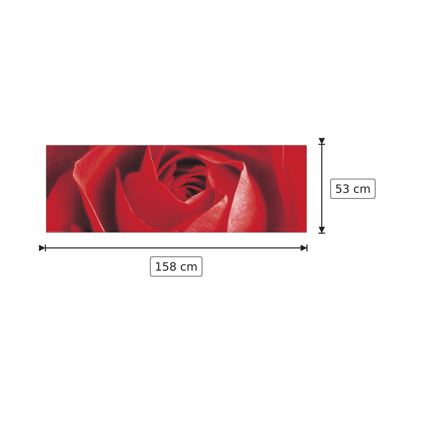 Rosa rossa - ANONYMOUS - cm 158x53 - Pannello in MDF
