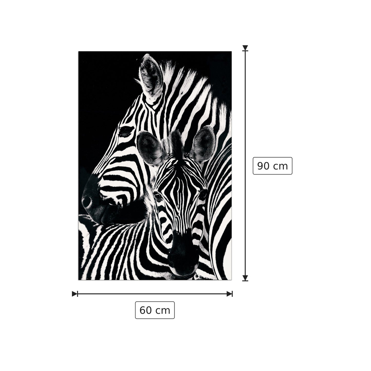 Zebra e puledro - cm 60x90 - Pannello in MDF
