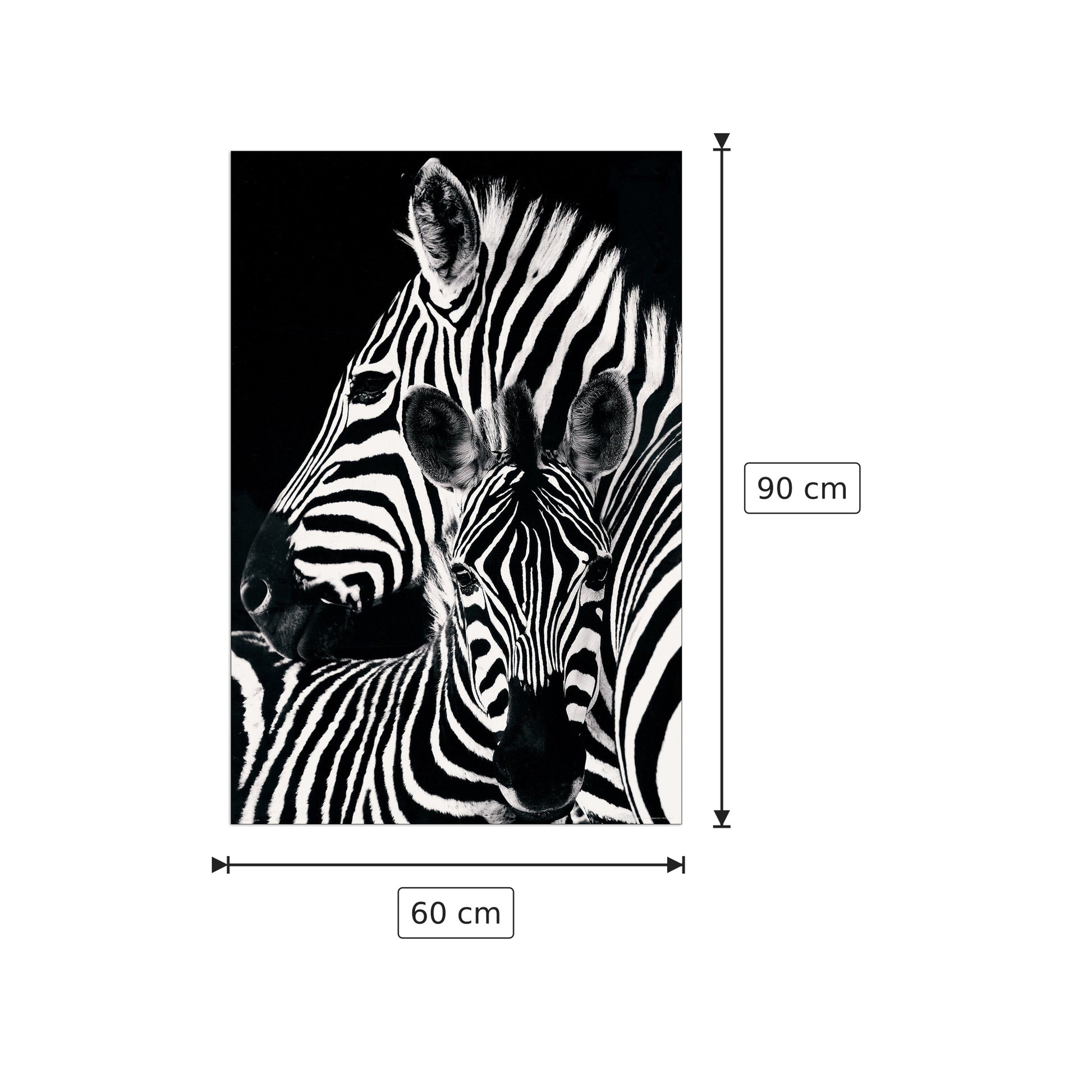 Zebra e puledro - cm 60x90 - Pannello in MDF