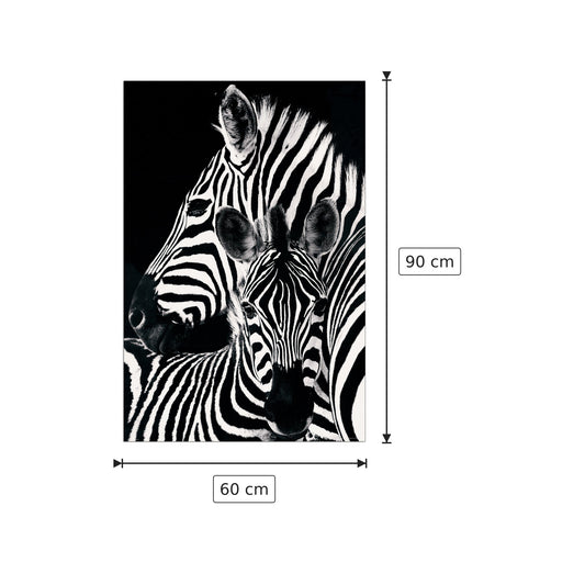 Zebra e puledro - cm 60x90 - Pannello in MDF