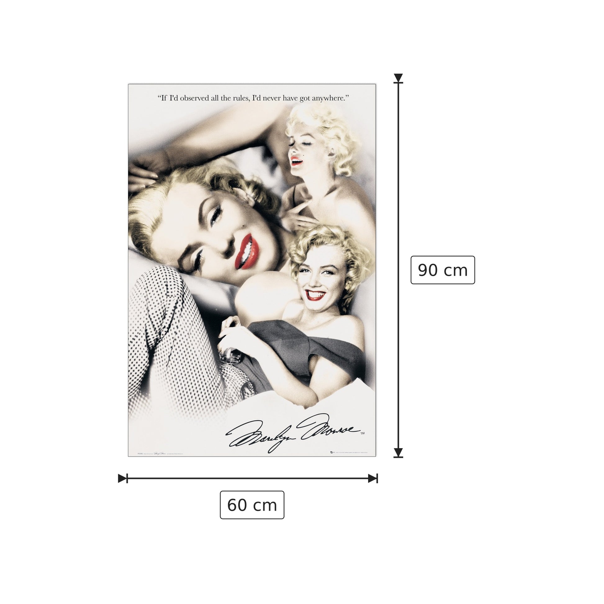 Se avessi osservato tutte le regole… - cm 60x90 - Pannello in MDF