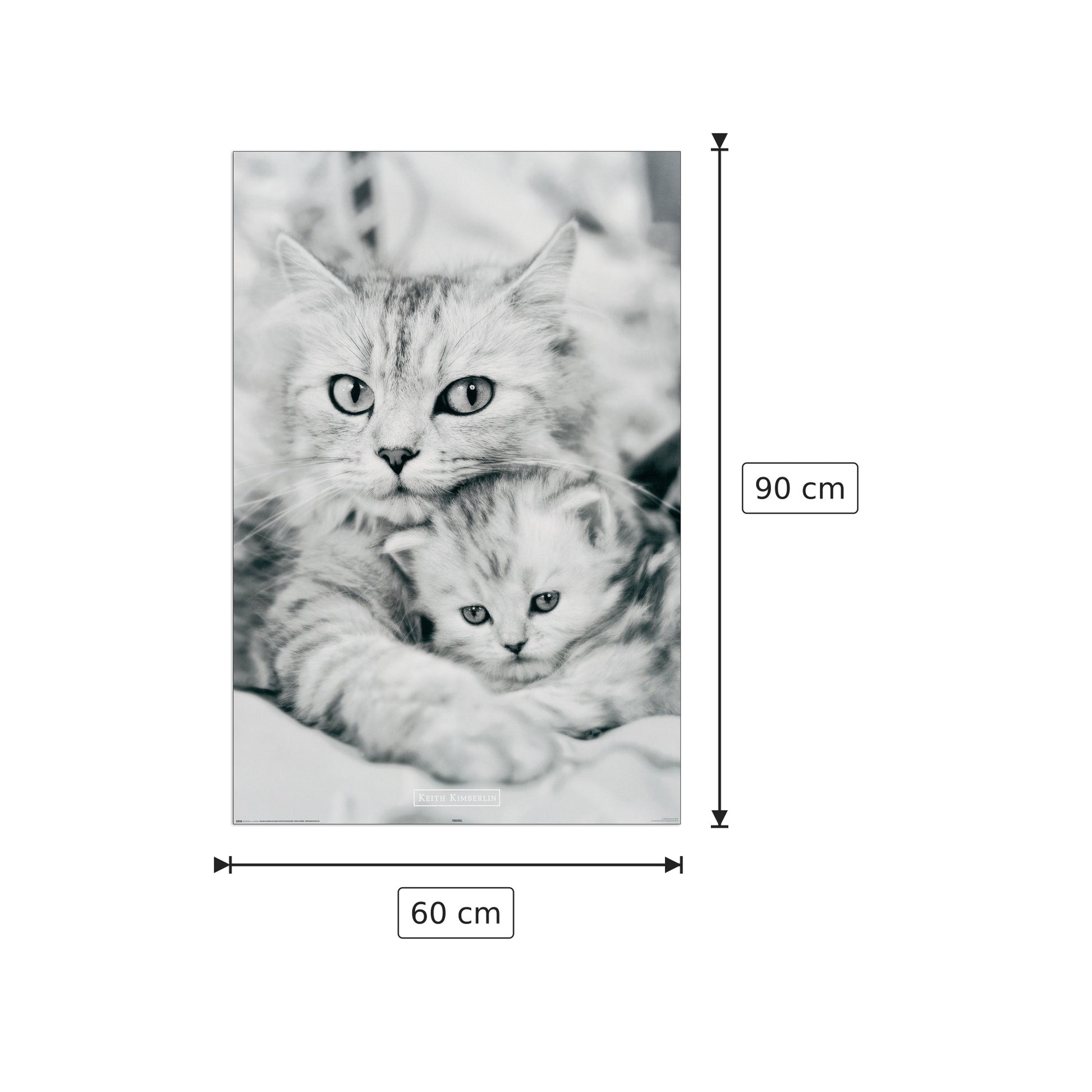Gatto e gattino - Kimberlin - cm 60x90 - Pannello in MDF