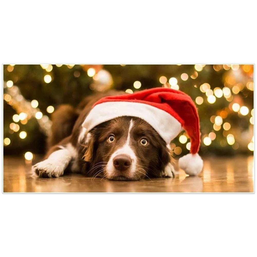 Kit broderie diamanti cagnolino Natale