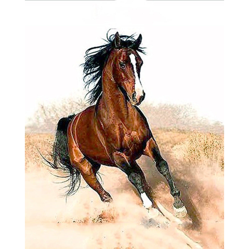 Quadro cavallo