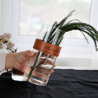 Vaso trasparente idroponico