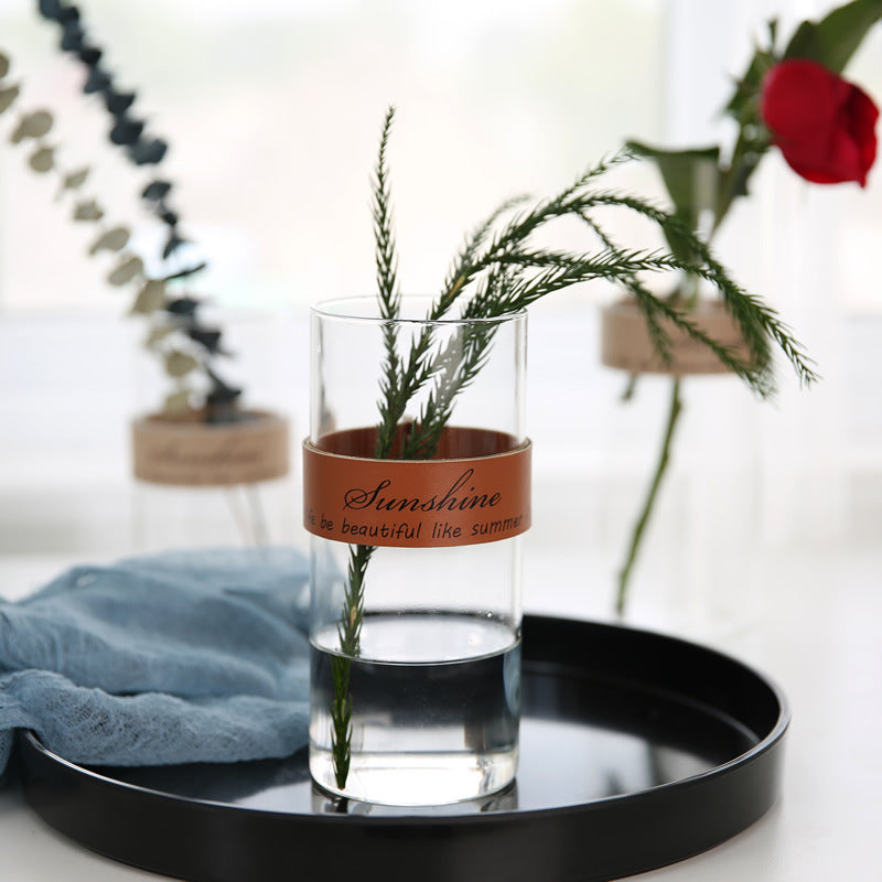 Vaso trasparente idroponico