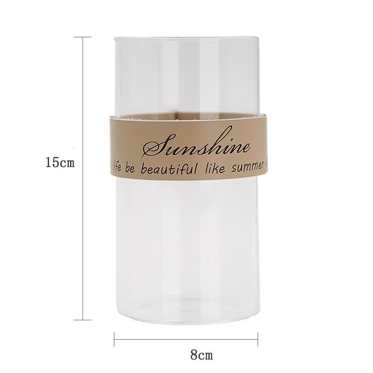Vaso trasparente idroponico