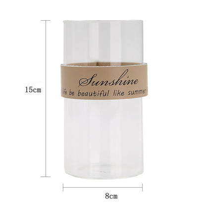 Vaso trasparente idroponico