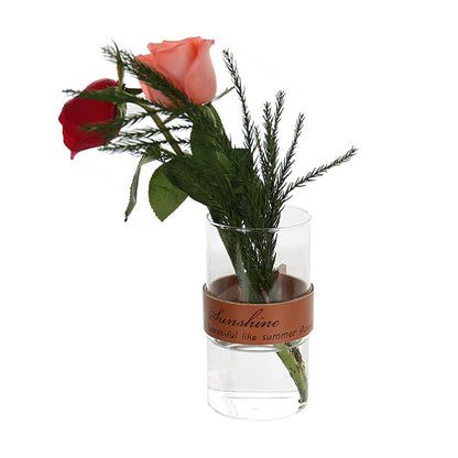 Vaso trasparente idroponico