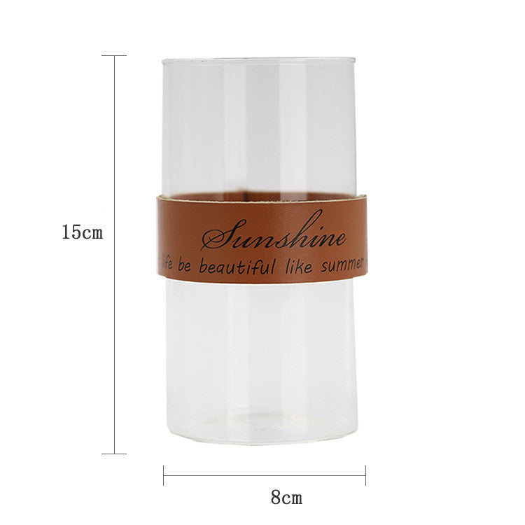 Vaso trasparente idroponico