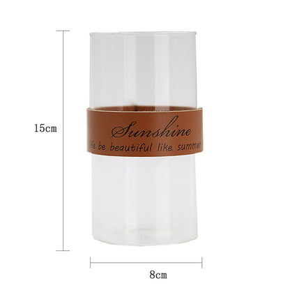 Vaso trasparente idroponico