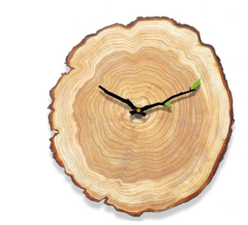 Orologio da parete Tronchi albero anelli legno