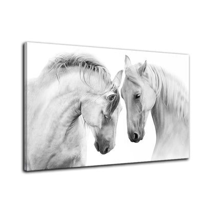Quadro cavallo bianco nordico