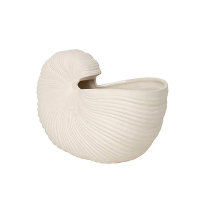 Vaso forma conchiglia
