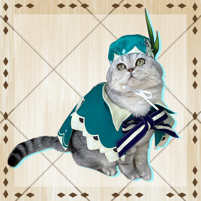 Costume Cosplay Anime