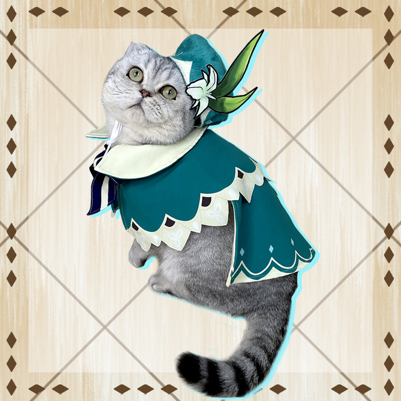 Costume Cosplay Anime