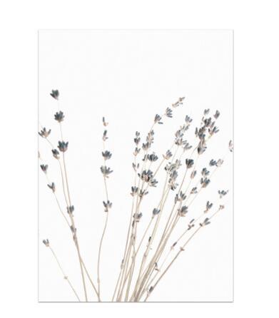 Quadro lavanda