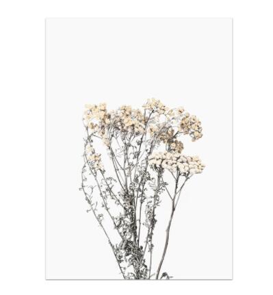 Quadro lavanda