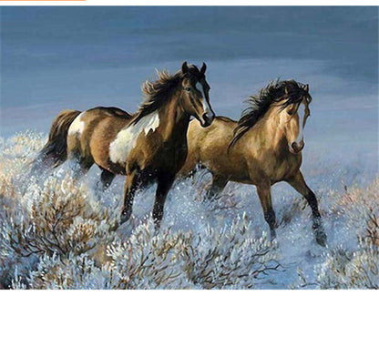 Cavallo Madre Figlio