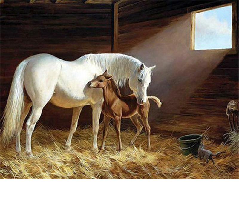 Cavallo Madre Figlio