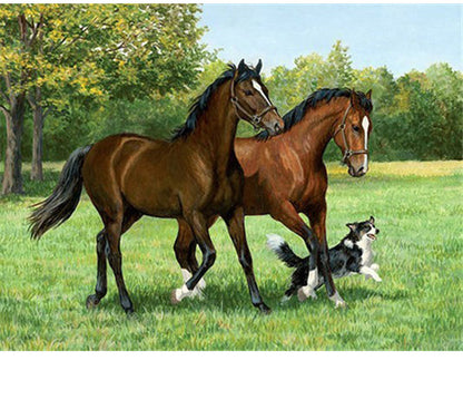 Cavallo Madre Figlio