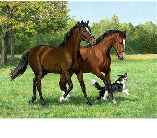 Quadro su tela Cavallo con madre e bambino