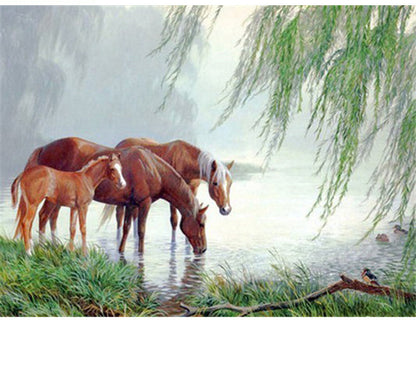 Quadro su tela Cavallo con madre e bambino