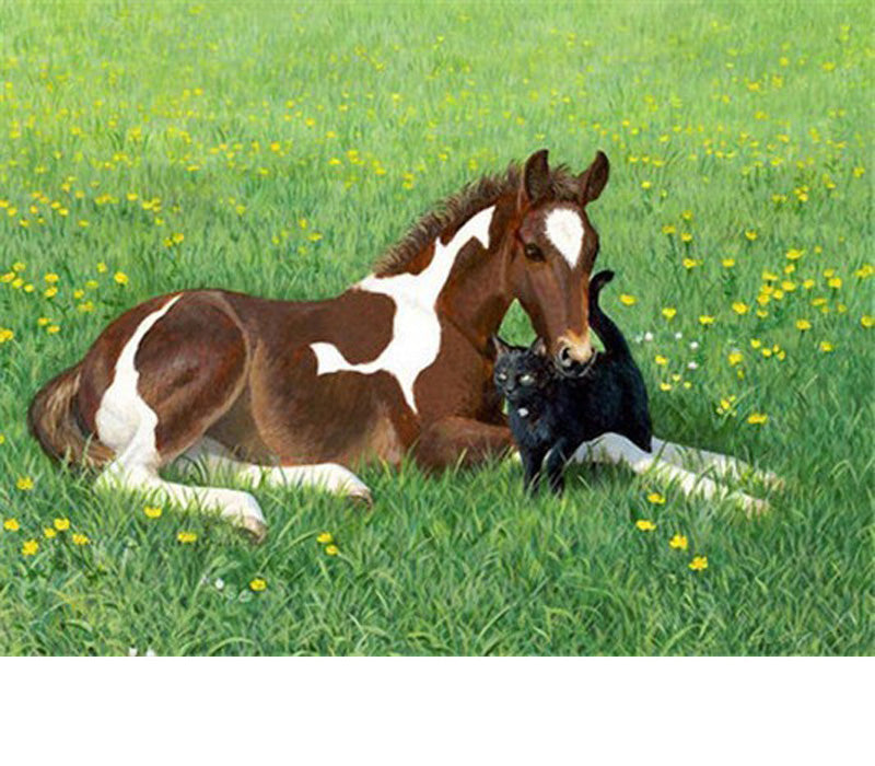 Cavallo Madre Figlio