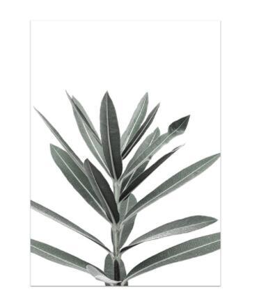 Quadro lavanda