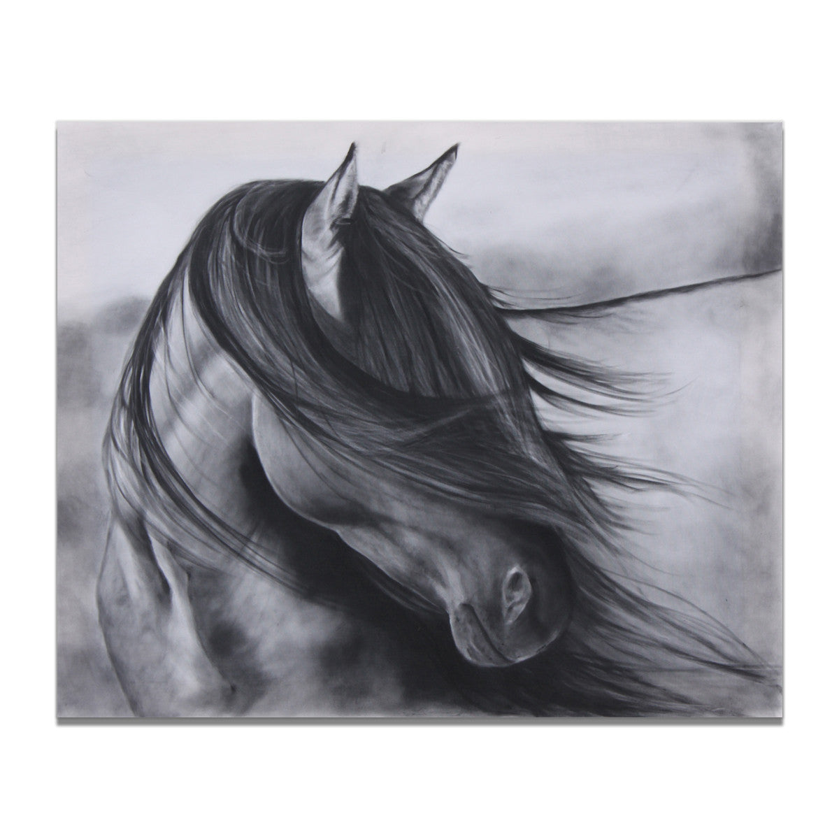 Quadro cavalli bianco e nero