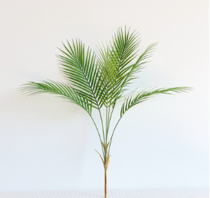 Pianta decorativa
