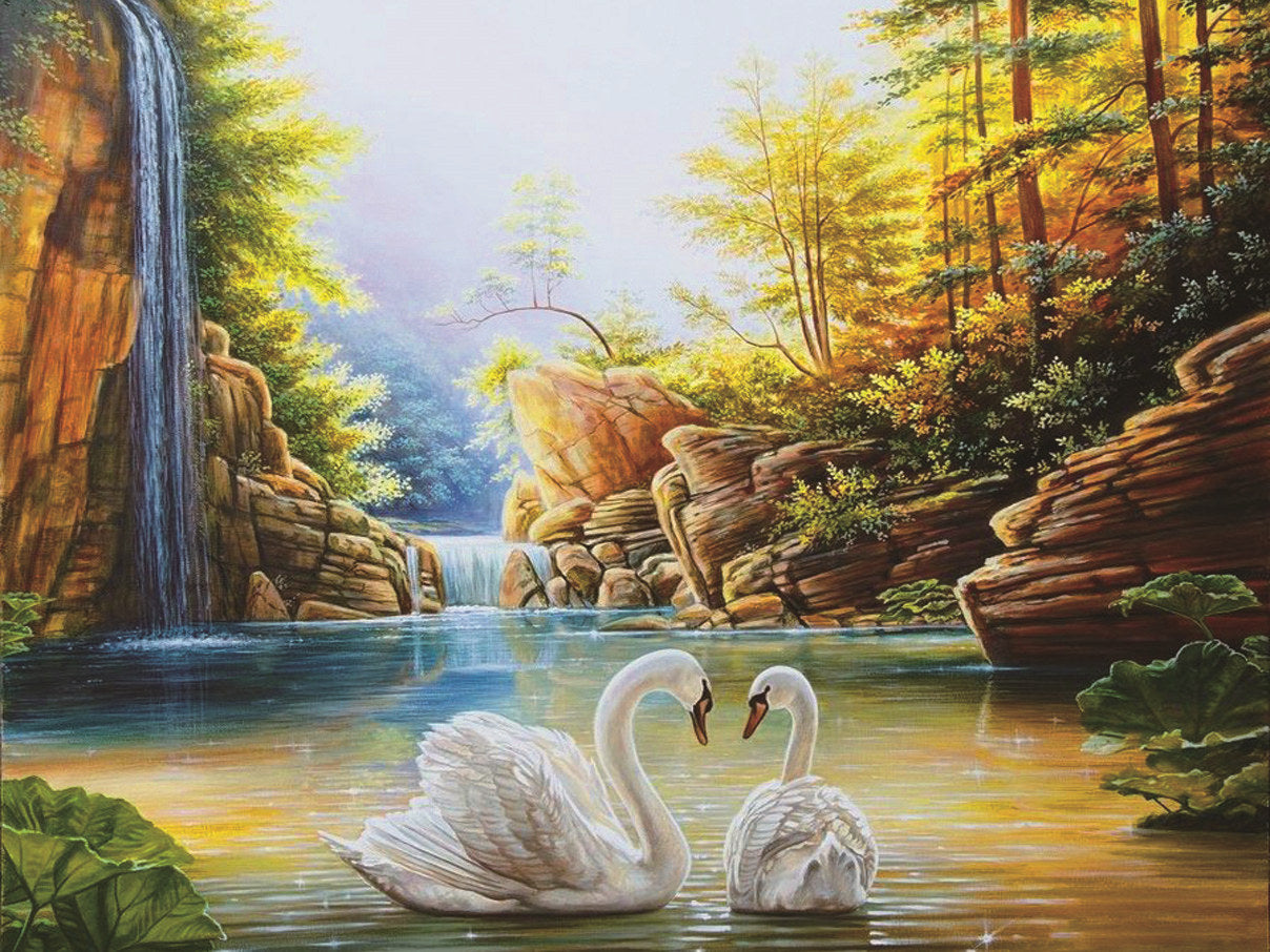Quadro oca bianca