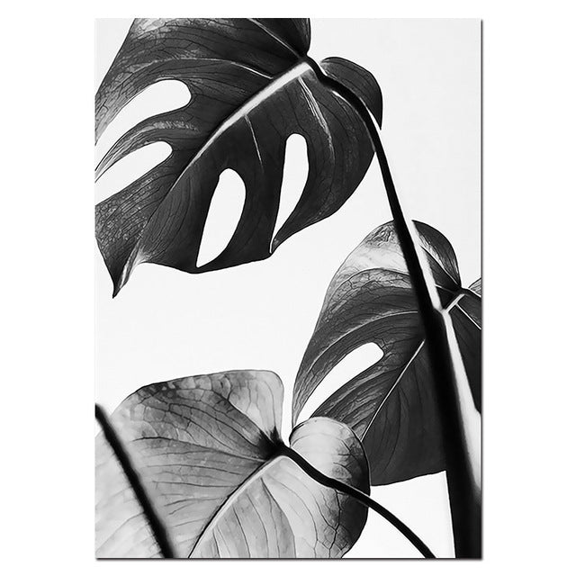 Quadro scandinavo