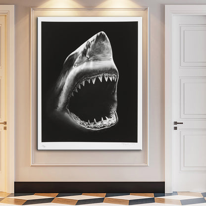 Quadro Squalo